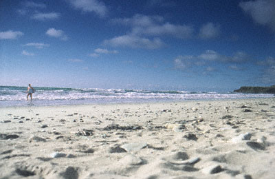 Lone Surfer